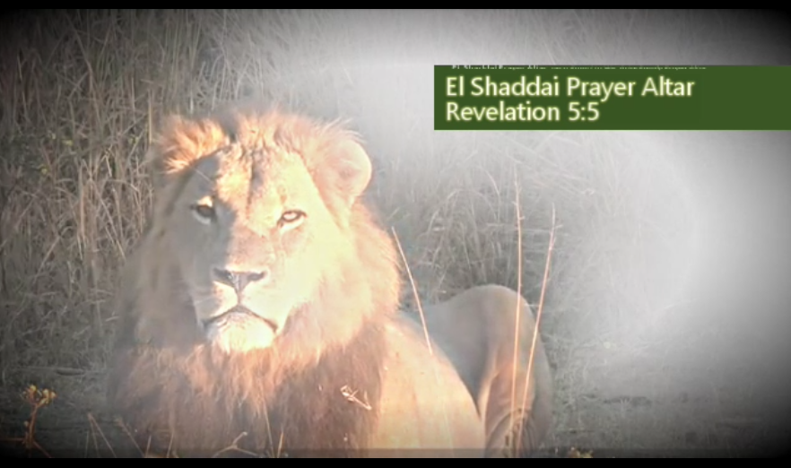 EL Shaddai Prayer Altar